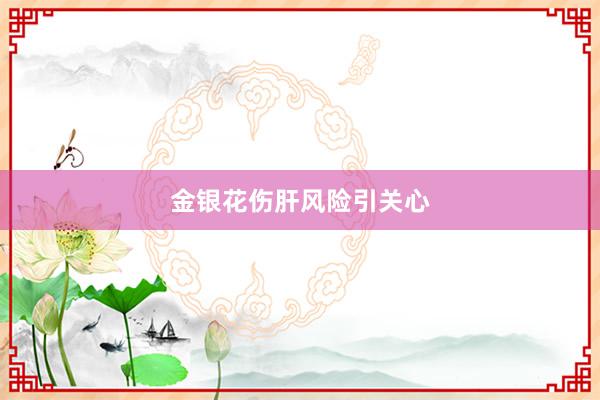 金银花伤肝风险引关心