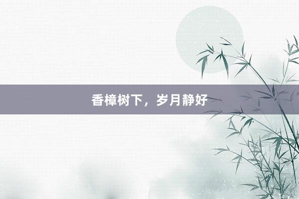 香樟树下，岁月静好